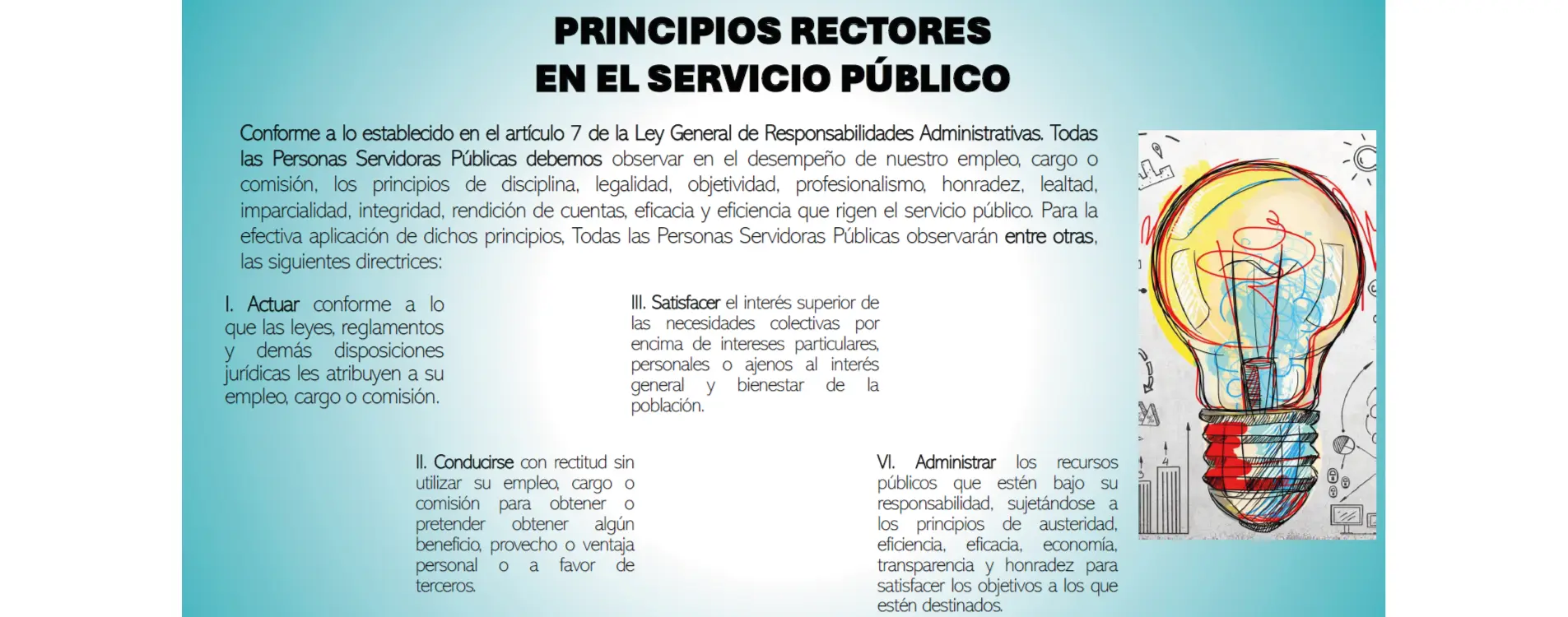 PRINCIPIOS RECTORES